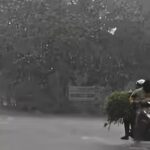 wmremove transformed (1)